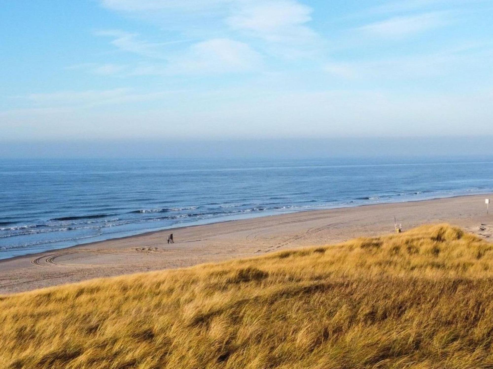 Gorgeous Holiday Home By The Beachside Callantsoog Exteriör bild